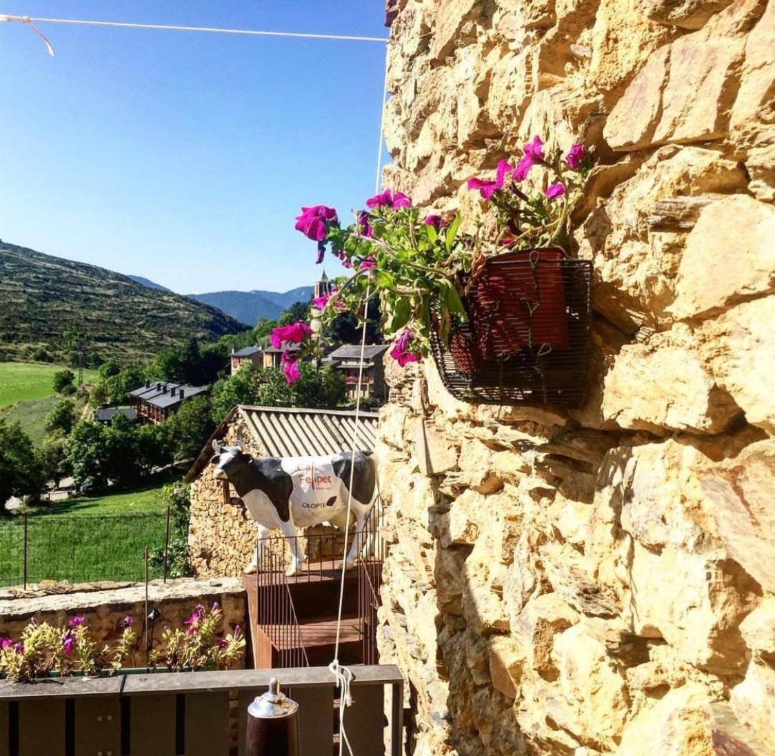 Preciosa Casa Rural Cal Felipet En Olopte-Cerdanya Ngoại thất bức ảnh